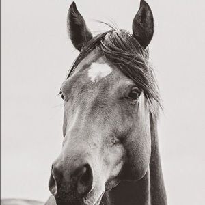 Meet your Posher, Lucia